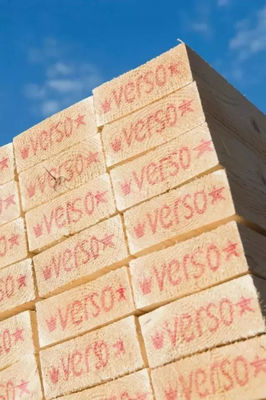 芬蘭維森木業(yè)高層到訪融匯高端，深化合作共探木材銷售新機(jī)遇