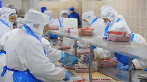 2700萬元專項扶持助力我市小食品生產線升級